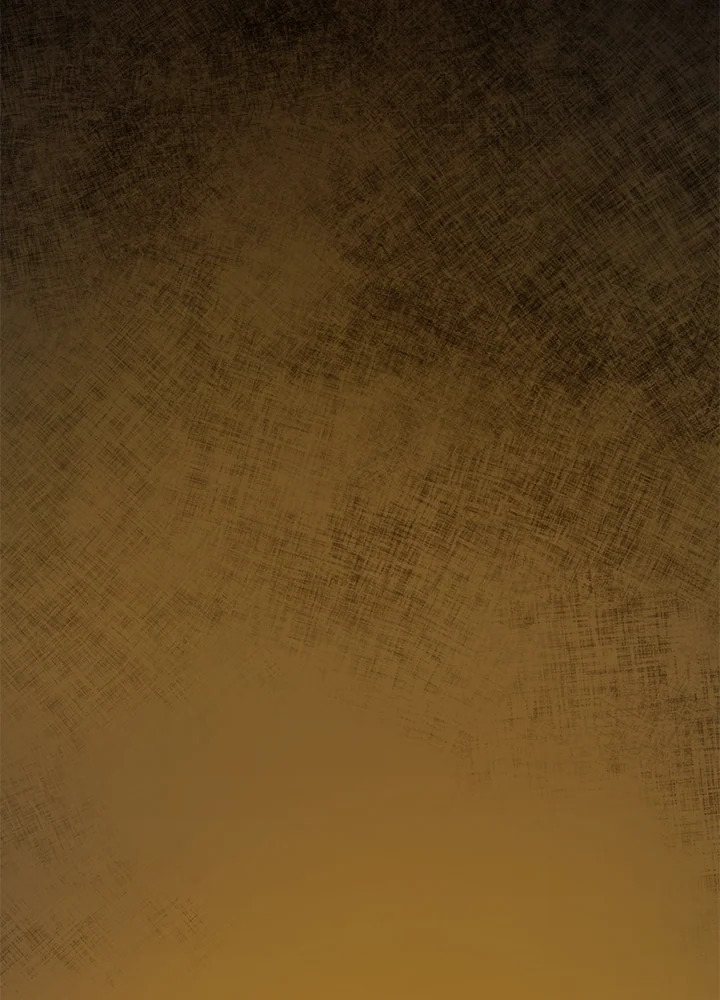 The Way to Protect the Female Lead’s Older Brother 13 64